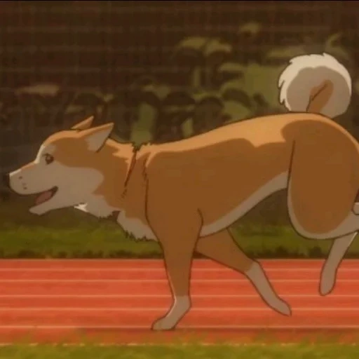 balto 2, anime chien, races de chiens, balto cartoon 1995 jouets, lassie season 2 episode 1 friends forever part 1 full episode