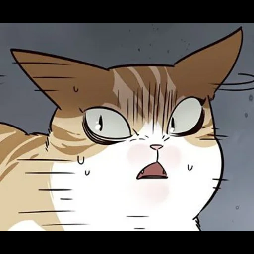 kucing, esized, manga kucing, elisad cat, kucing elis