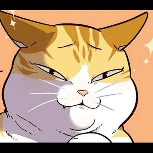 katze, memic cat, elised katzen, kayden elisad, anime kotyar ist mann