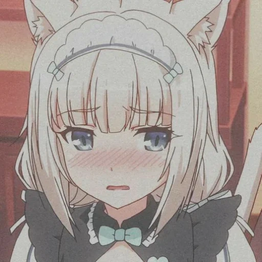 nekopara, anime algunos, precioso anime, el anime es un solo, la vainilla es lo mismo que avergonzado