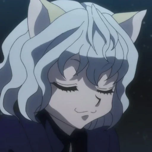 nicht-ferrit, never pitts sieb, hunter nefelpitu, hunter 110 series, hunter x hunter neferpitou