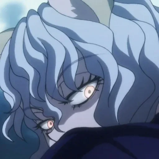 ecliptic, constellation, neferpitou, according to the twelve zodiac signs, hunter x hunter 3