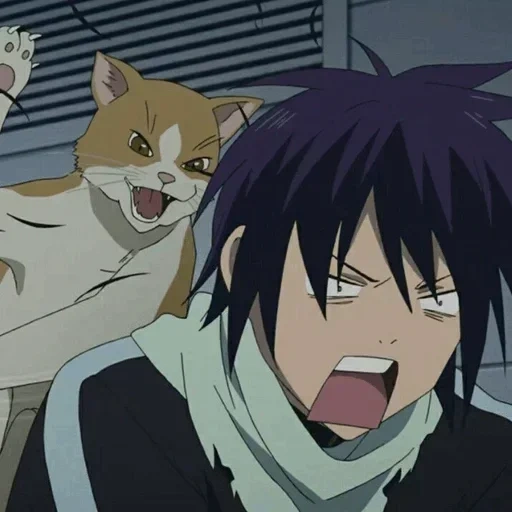 dios sin hogar, el dios sin hogar yato, el dios sin hogar es el gato, dios sin hogar de anime, anime sin hogar dios yato