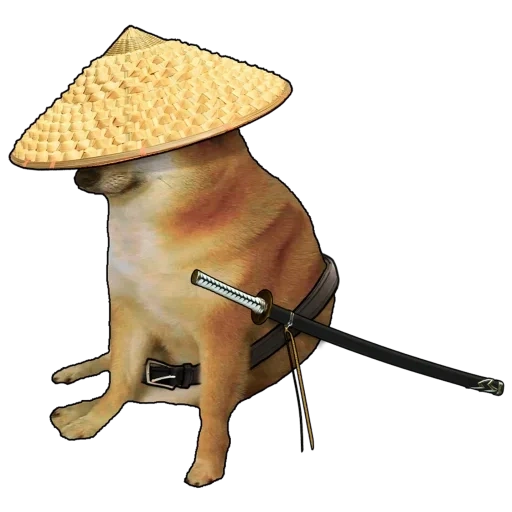 meme dog, kehidupan, боевой робот, cheems samurai, сиба ину шляпе катаной