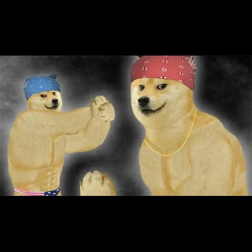 doge, доги мем, doge гопник, doge рикардо, electro doge