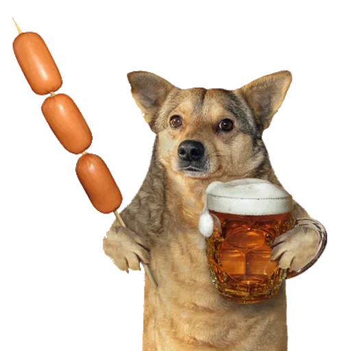 собака пивом, сосиска собака, джек рассел терьер, собака кружкой пива, собака пивом сосисками