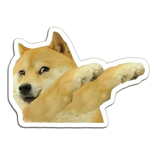 doge, shiba, doge meme, shiba inu, wow so doge