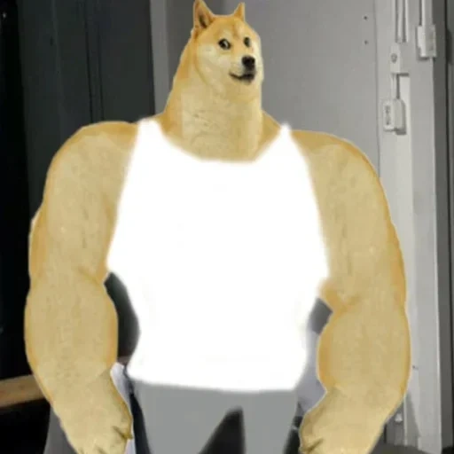 gachi, doge мем, пес качок мем, мем собака качок, билли херрингтон