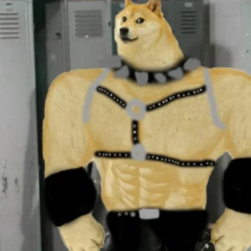 doge, buff doge, swole doge, doge нацист, ярослав конвей лпр