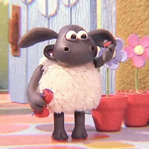 carni ovine, shawn l'agnello, timmy l'agnello, shawn timmy l'agnello, cartoon timmy dell'agnello