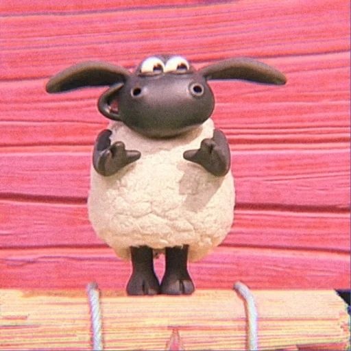 shawn l'agnello, timmy l'agnello, shawn timmy l'agnello, cartone animato shawn agnello, little shawn animation series