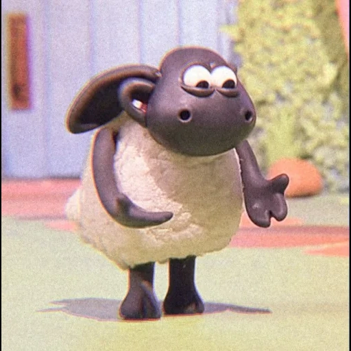 agneau, shaun le mouton, barati timmy, barashka sean timmy, dessin animé d'agneau sean