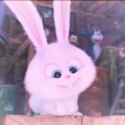 boule de neige de lapin, cartoon de lapin, bunny cartoon secret life, la vie secrète du lapin de compagnie, la vie secrète du lapin animal de compagnie boule de neige