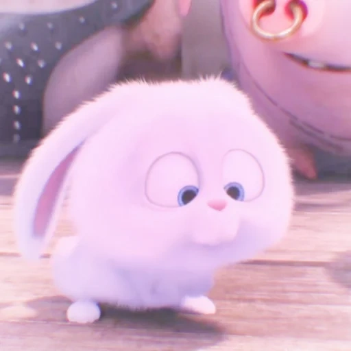 rabbit snowball, the secret life of pets, mysterious pet rabbit, pet life rabbit, the secret life of pet rabbit