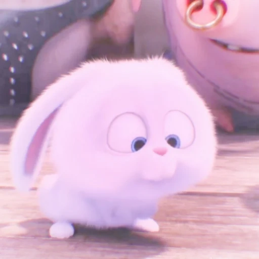 snowball di coniglio, la vita segreta degli animali domestici, il segreto di pets rabbit, pets life rabbit, little life of pets rabbit