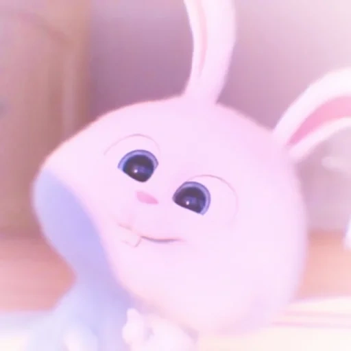 coniglio, snowball di coniglio, il coniglio è divertente, vita segreta del coniglio, little life of pets rabbit