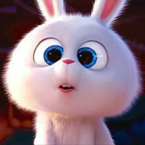 conejito malvado, bola de nieve de conejo, dibujos animados de bola de nieve de conejo, pequeña vida de mascotas conejo, cartoon rabbit secret life of pets