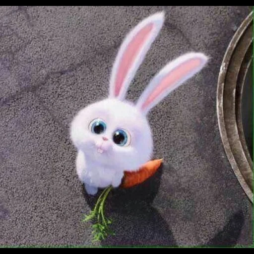 coniglio, bunny bunny, cartone animato coniglietto palla di neve, vita segreta dei cartoni animati di coniglio, vita segreta del cartone animato della carota coniglietto