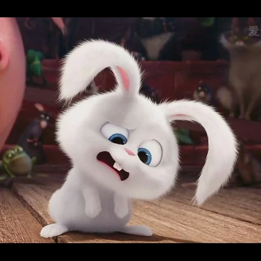 bola de nieve de conejo, se describió la bola de nieve de conejo, pequeña vida de mascotas conejo, bola de nieve la última vida de las mascotas