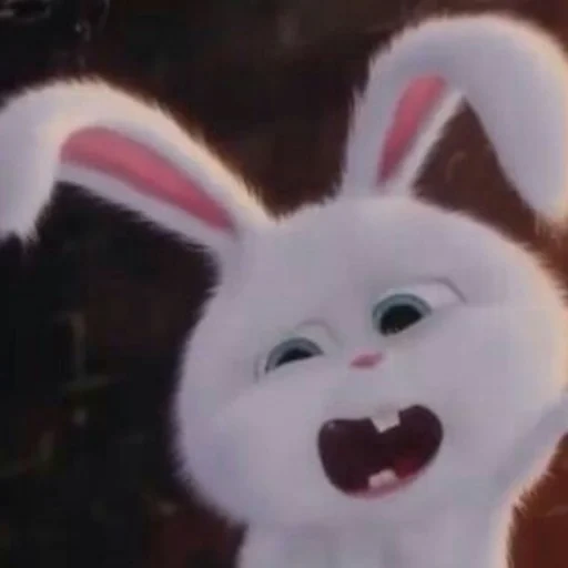 rabbit, snowball rabbit, little life of pets rabbit, secret life of pets hare snowball, last life of pets rabbit snowball