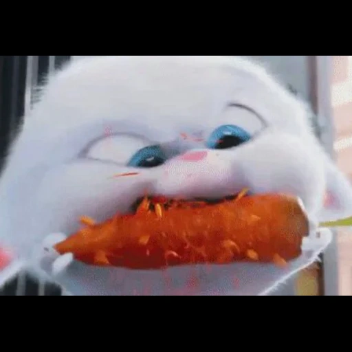 snowball rabbit, the secret life of the home, the secret life of pets, secret life of pets memes, little life of pets rabbit