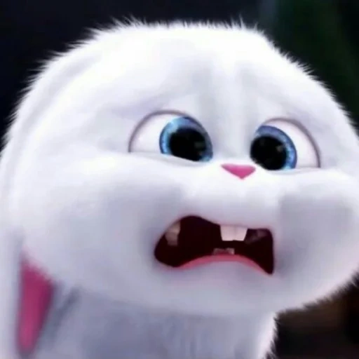 bola de nieve de conejo, dibujos animados de bola de nieve de conejo, bola de nieve la última vida de las mascotas, vida secreta de las mascotas 2 bola de nieve, última vida de mascotas conejo de nieve de conejo