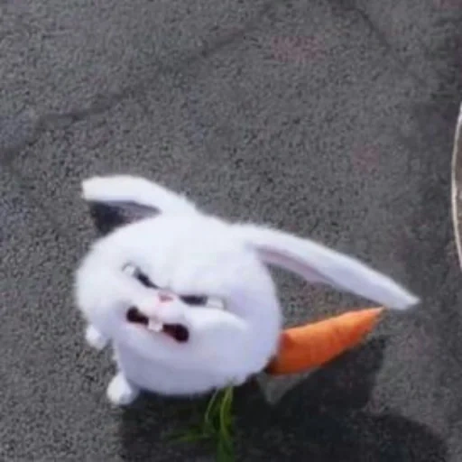 evil hare, angry rabbit, evil rabbit, evil hare with carrots, the secret life of pets is evil rabbit