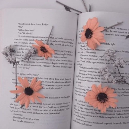 libros, computadora portátil, las flores del libro, flores hechas a mano, dirigido por fantasmas