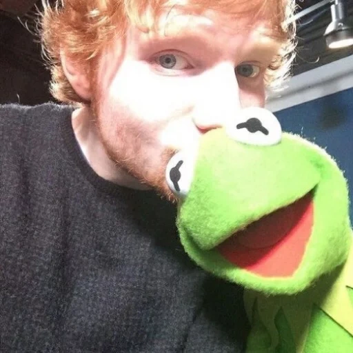 kermit, twitter, ed sheeran, kermit la grenouille