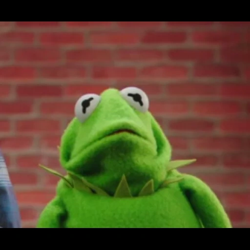 kermit, kermit, muppet show, comet the frog