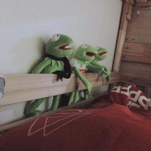 kermit, comet the frog is asleep, frog comet meme, frog comet meme
