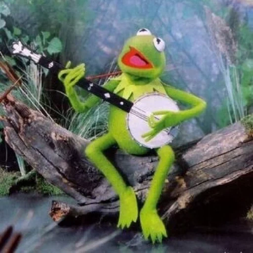 kermit, kermit, muppet show, komi frog, comet the frog