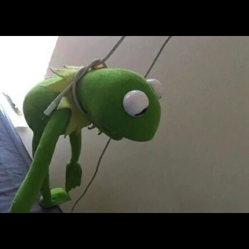 kermit, android version history, the adventures of cary cavalli 2005, the extraordinary adventures of carrick valli
