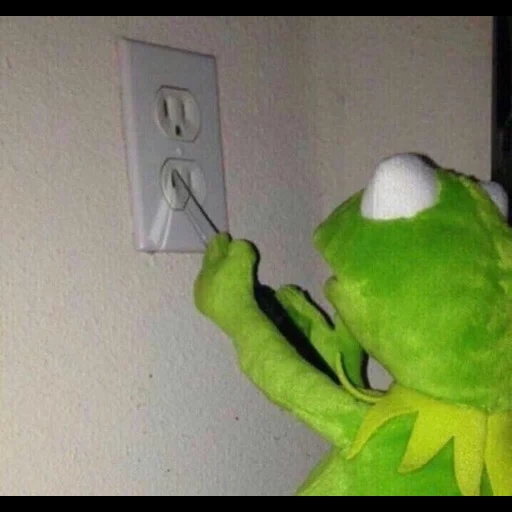 kermit, apartment supplies, komi frog, comet the frog, komi the frog committed suicide