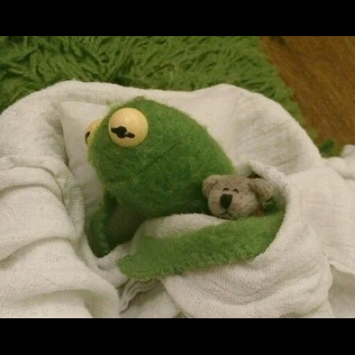 kermit, komi frog, comet pepe the frog, frog komi aesthetics, frog comey blanket