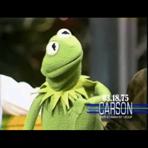 kermit, kermit, muppet show, comet the frog, sesame street frog comet