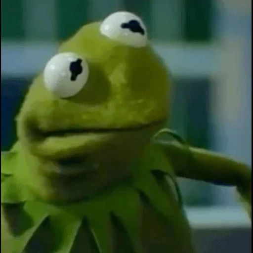 kermita, kermit, rana cermit, el meme de la rana kermita, rana cermit pepe