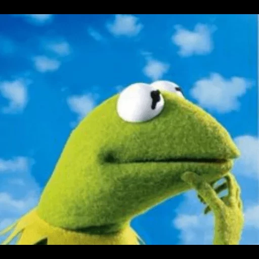 kermit, kermit, muppet show, komi frog, comet the frog