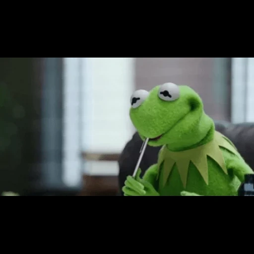 kermit, kermit, muppet show, komi frog, comet the frog