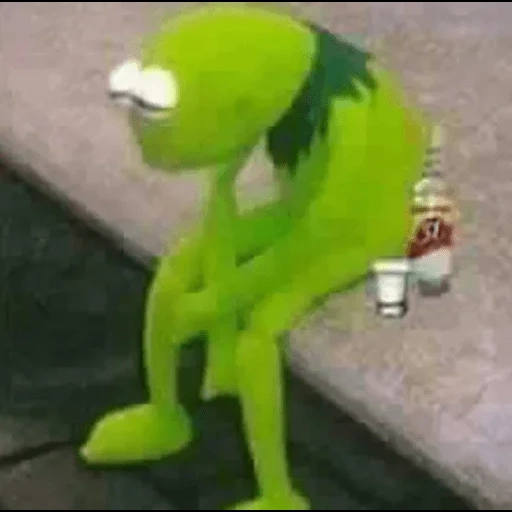 kermit, kermit, komi frog, comet the frog, comet the frog hanged himself