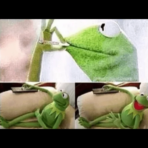 kermit, mem kermit, kermit che cade, frog cermit, frog cermit fumano stipite