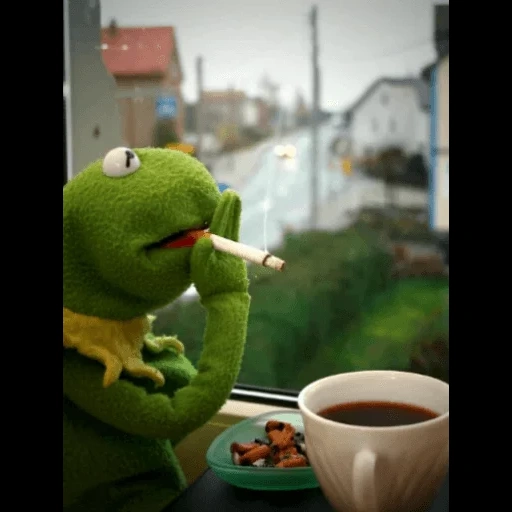 kurbaôa, comet coffee, kermit der frosch, kermit der frosch trinkt kaffee, der frosch kermit inschrift meme