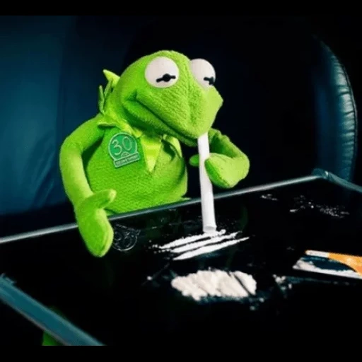 kermita, kermit, rana cermit, los memes de rana kermite, la rana kermite cocaína