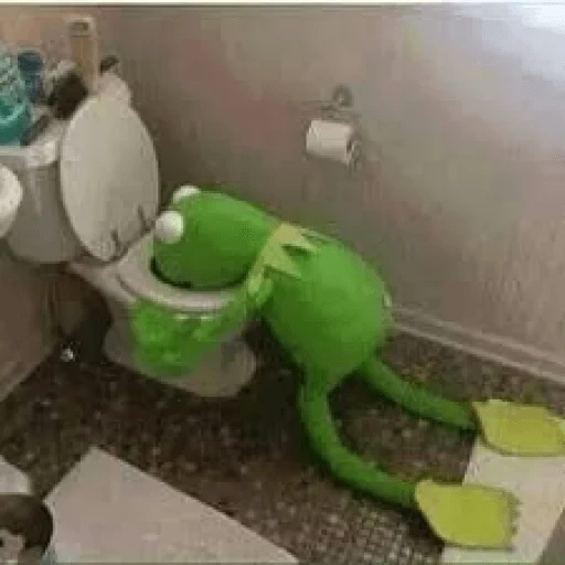 kermit, kermit, comet the frog, comet the frog, kermit hanged himself