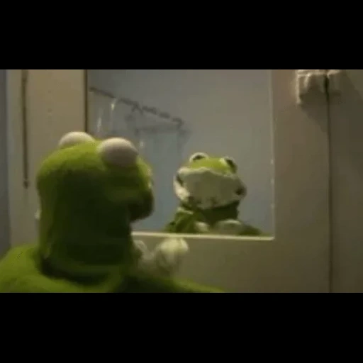 kermit, comet the frog, frog comet meme, frog comey's panic disorder, another day without meme