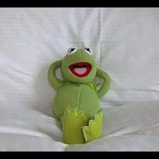 kermit, toys, komi frog, comet the frog, frog toy comet 40 cm