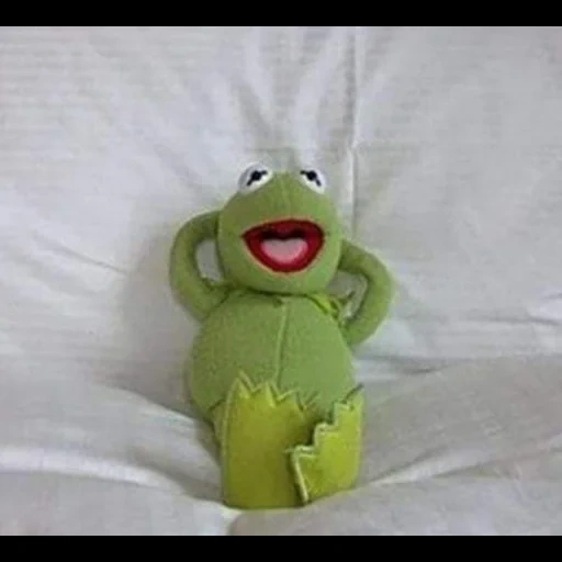 kemet, spielzeug, der frosch von comi, kermit der frosch, frosch spielzeug kermit 40 cm