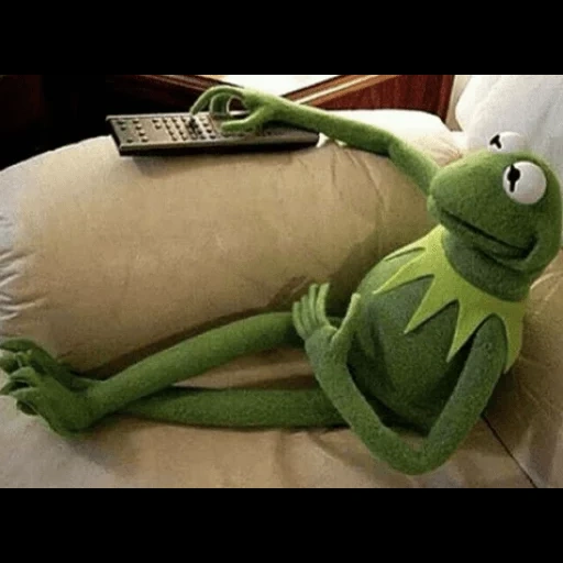 kermita, kermit, meme de rana, rana cermit, la rana kermit fuma