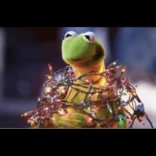 kermit, kermit, muppet show, comet the frog, new year kermit