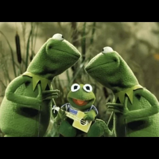 kermit, muppet show, kermit pepe, comet the frog, frog comey years swamp